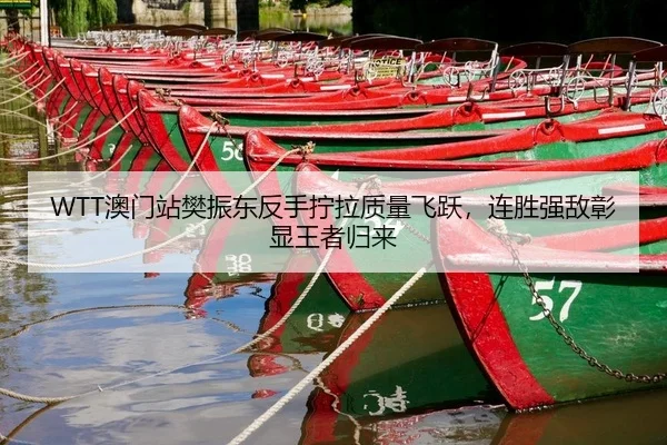 ao-men-zhan-fan-zhen-dong-fan-shou-ning-la-zhi-liang-fei-yue-lian-sheng-qiang-di-zhang-xian-wang-zhe-gui-lai-2-645.jpg